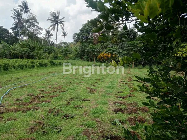 image TANAH STRATEGIS 26 ARE DEKAT PANTAI DI BERABAN (1)