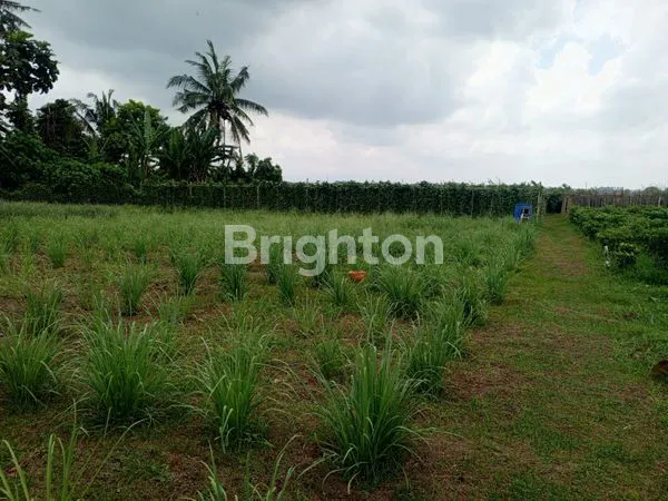 image TANAH STRATEGIS 26 ARE DEKAT PANTAI DI BERABAN (2)