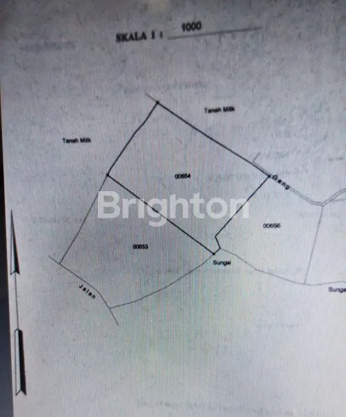 image TANAH STRATEGIS 26 ARE DEKAT PANTAI DI BERABAN (4)