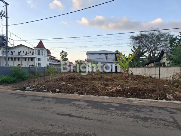 image TANAH HOEK  SERNARU LABUAN BAJO (3)