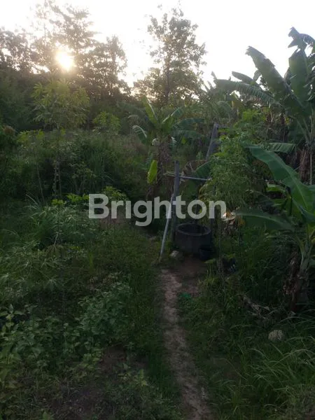 image LAHAN LUAS 7.828M² DI JOGJA, SHM (6)