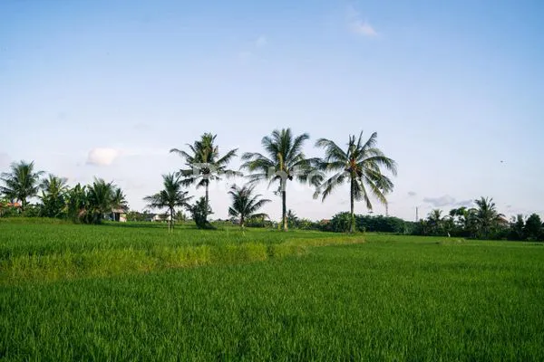 image VILLA BARU DI SAYAN, VIEW SAWAR EKSKLUSIF (1)
