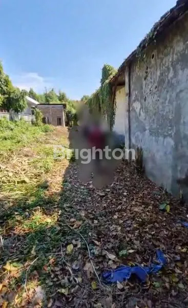 image TANAH DIPONEGORO (5)