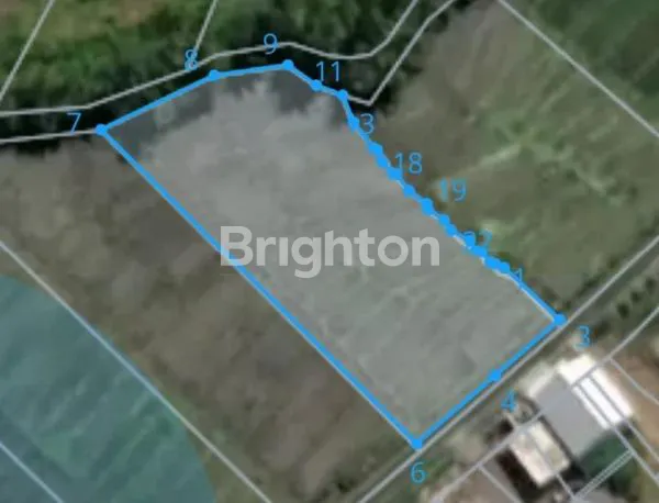 image TANAH 3415 M2 COCOK VILLA DI KABA2 KEDIRI TABANAN  BALI  (3)