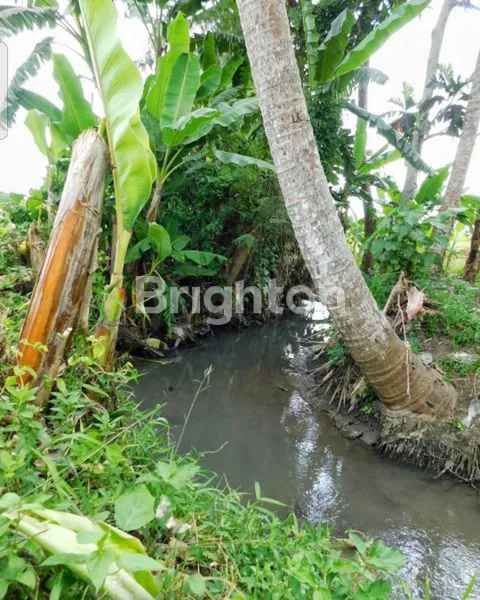 image TANAH 3415 M2 COCOK VILLA DI KABA2 KEDIRI TABANAN  BALI  (5)