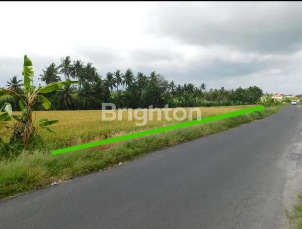 image TANAH 3415 M2 COCOK VILLA DI KABA2 KEDIRI TABANAN  BALI  (2)