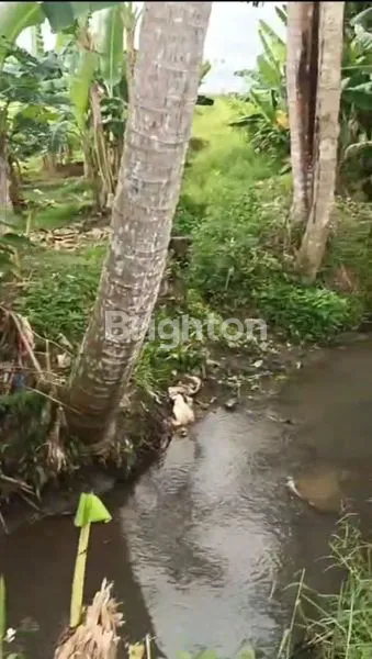 image TANAH 3415 M2 COCOK VILLA DI KABA2 KEDIRI TABANAN  BALI  (4)