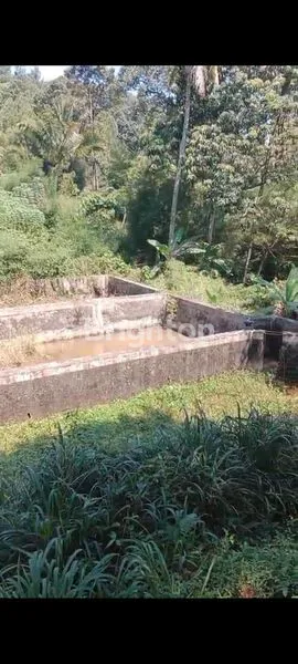 image DIJUAL TANAH SHM DI GUNUNG GEULIS, SENTUL-BOGOR (2)