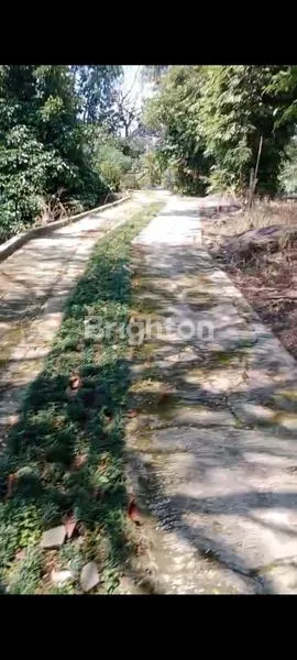 image DIJUAL TANAH SHM DI GUNUNG GEULIS, SENTUL-BOGOR (1)