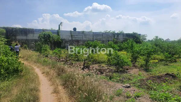 image TANAH KOMERSIAL NOL JALAN RAYA DAENDLES GRESIK (2)