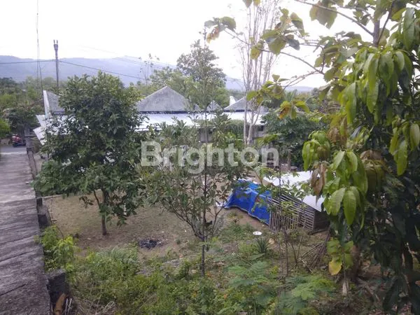 image PROPERTI BISNIS: RUMAH & CAFE DI LOKASI STRATEGIS (6)