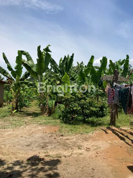 image TANAH 1.000 M2 STABAT (8)