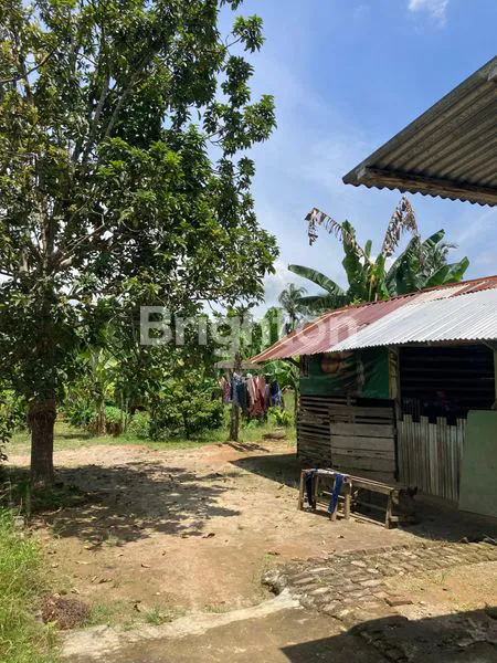 image TANAH 1.000 M2 STABAT (3)