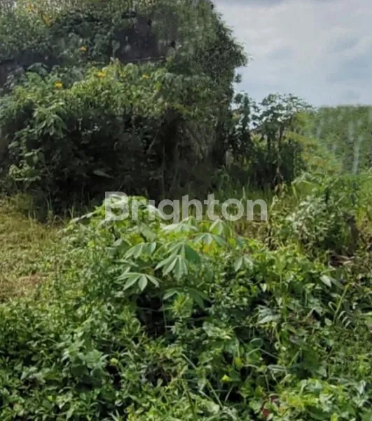 image TANAH KAVLING AREA CEMOROKANDANG MALANG (1)