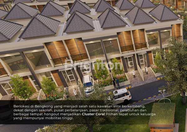 image GOLDEN BCI CLUSTER CORAL (6)