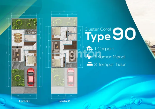image GOLDEN BCI CLUSTER CORAL (4)