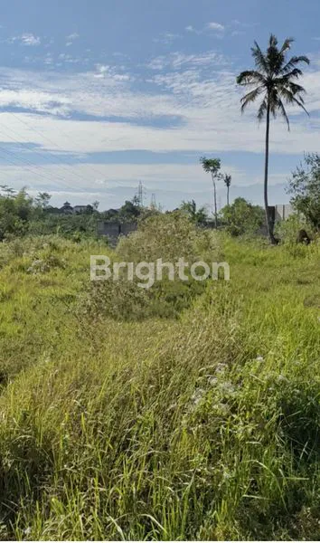 image TANAH MURAH DEKAT JALAN POROS BATU MALANG  (1)