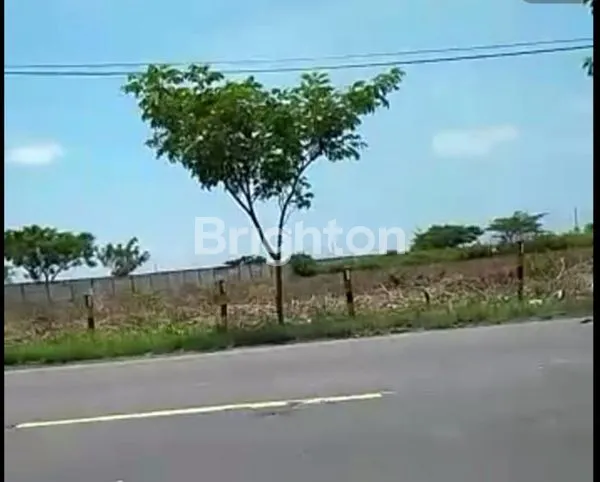 NOL JALAN RAYA TANAH LOKASI TUBAN !!