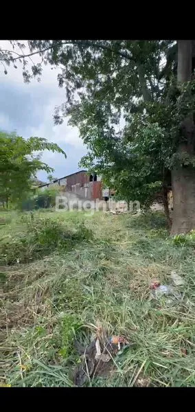 image DISEWA TANAH KAVLING (3)