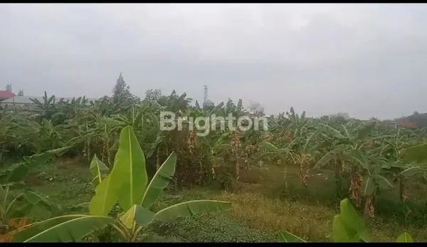 image GUDANG SIAP PAKAI DENGAN TANAH EKSTRA LUAS DI JALAN UTAMA PURWODADI BLORA (6)