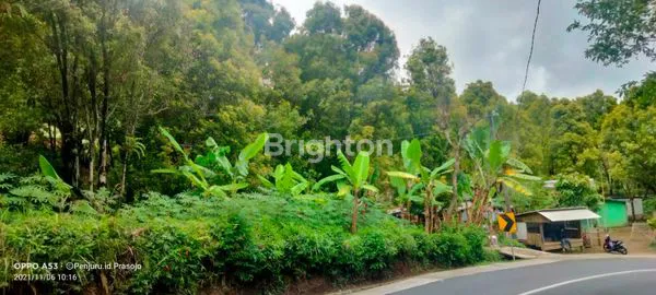 image JUAL TANAH BROMO (3)