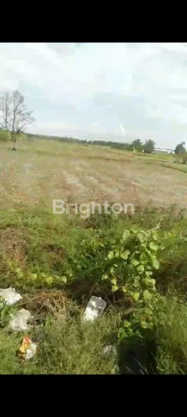 image COCOK UNTUK GUDANG (1)