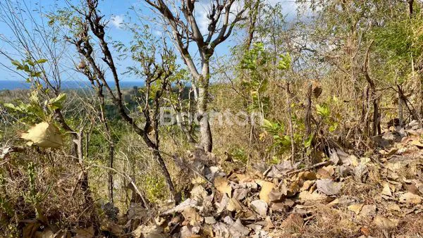 image TANAH LUAS VIEW LAUT & GUNUNG DI GEROKGAK, BULELENG – BALI (2)