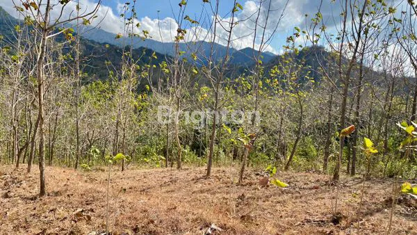 image TANAH LUAS VIEW LAUT & GUNUNG DI GEROKGAK, BULELENG – BALI (1)