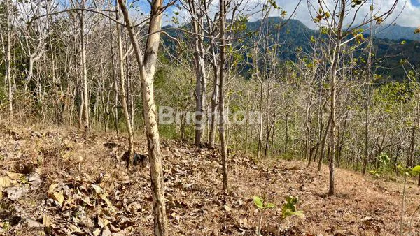 image TANAH LUAS VIEW LAUT & GUNUNG DI GEROKGAK, BULELENG – BALI (3)