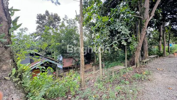 image TANAH LUAS 2,8 HEKTAR DI KILO (2)