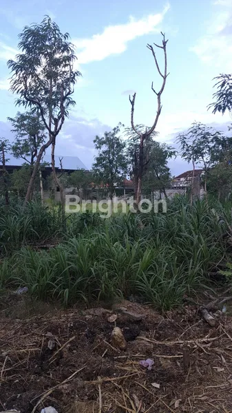 image HIDDEN GEM IN JIMBARAN, TANAH 20 ARE -  SHM, DATAR DAN SIAP BANGUN  (5)