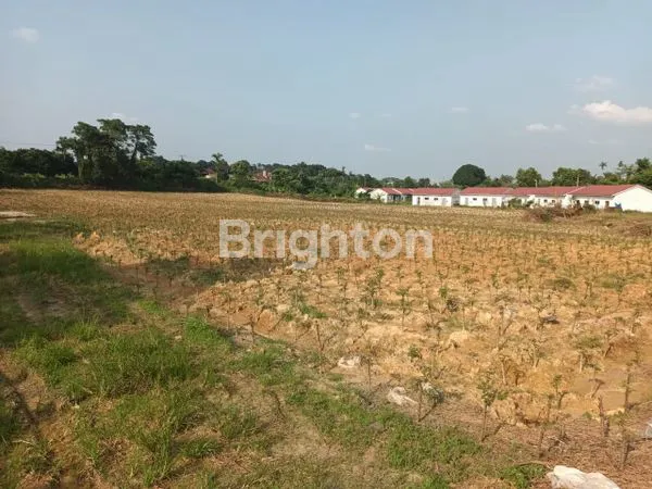 image TANAH ( LAHAN KOSONG ) SELUAS 1.1 HEKTAR ATAU 11000 M2 (4)