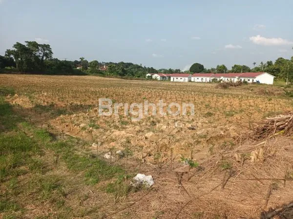 image TANAH ( LAHAN KOSONG ) SELUAS 1.1 HEKTAR ATAU 11000 M2 (3)