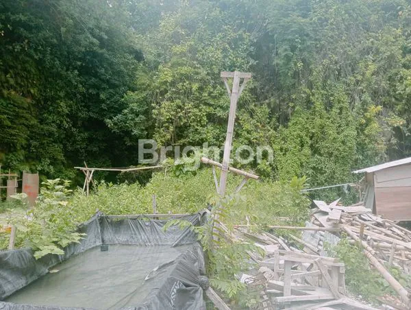 image TANAH PREMIUM STRATEGIS 2 ARE DEKAT KE HOTEL ESCOTEL NUSA DUA (2)