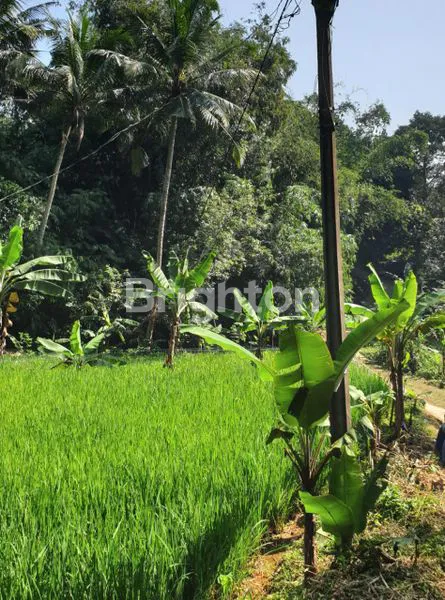 image INVESTASI TANAH 1900M² SHM, PEMANDANGAN INDAH GUNUNG SALAK.BOGOR (2)