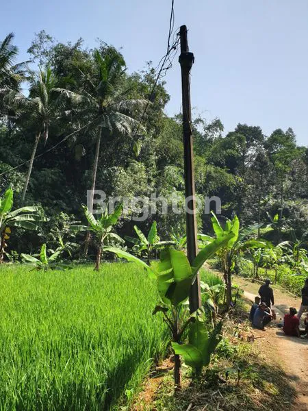 image INVESTASI TANAH 1900M² SHM, PEMANDANGAN INDAH GUNUNG SALAK.BOGOR (3)