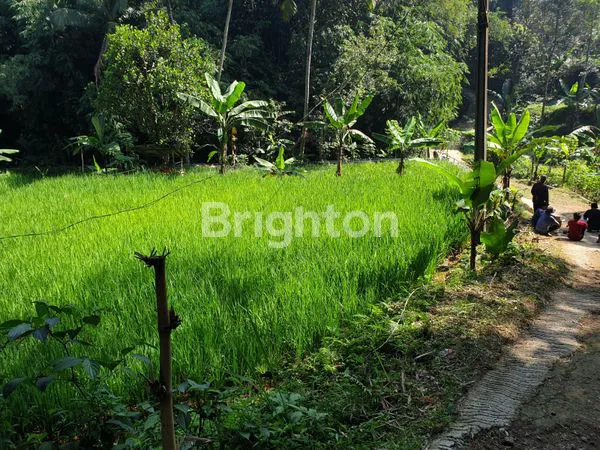 image INVESTASI TANAH 1900M² SHM, PEMANDANGAN INDAH GUNUNG SALAK.BOGOR (6)