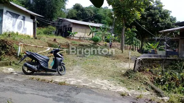image LAHAN SIAP HUNI 1945M²,ADA  POHON DURIAN & SHM BOGOR (7)