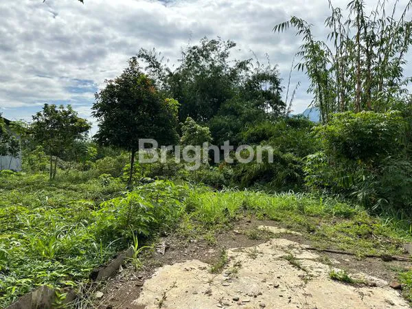 image LAHAN SIAP HUNI 1945M²,ADA  POHON DURIAN & SHM BOGOR (3)