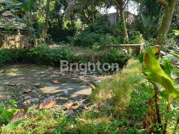image LAHAN SIAP HUNI 1945M²,ADA  POHON DURIAN & SHM BOGOR (5)