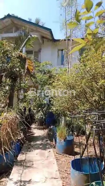 image DIJUAL TANAH KEBUN 16.019M² + RUMAH SIAP HUNI BOGOR (1)