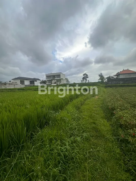 image DISEWA TANAH 11,5 ARE - UBUD (3)