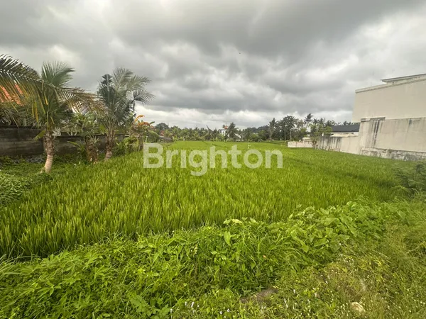 image DISEWA TANAH 11,5 ARE - UBUD (4)