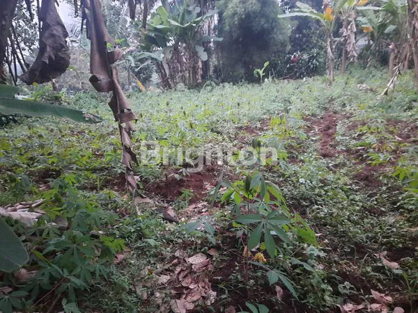 image TANAH STRATEGIS 494M² DI RANCABUNGUR (2)