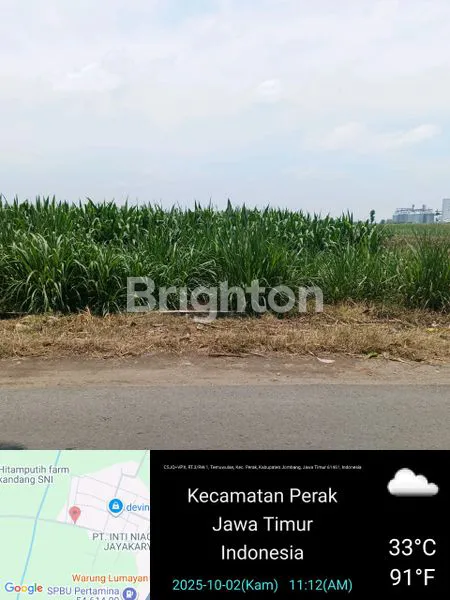 image TANAH DIJUAL  BIG  BUSINESS (3)