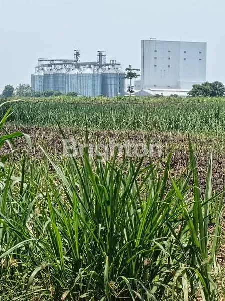 image TANAH DIJUAL  BIG  BUSINESS (4)