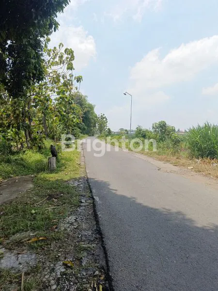 image TANAH DIJUAL  BIG  BUSINESS (1)