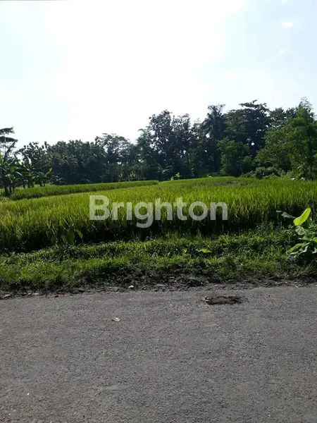 image DIJUAL TANAH DI BALONG KALIURANG  (4)