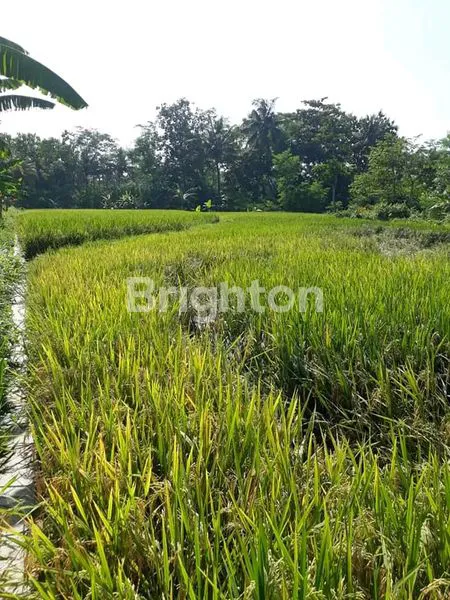 image DIJUAL TANAH DI BALONG KALIURANG  (5)