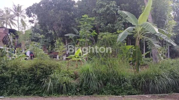 image TANAH LUAS 805M² SHM DI SALATIGA (1)